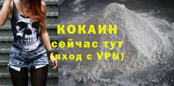 spice Алзамай