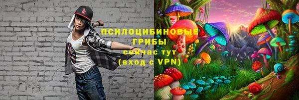 наркотики Алексин