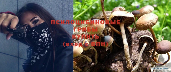 бошки Нея