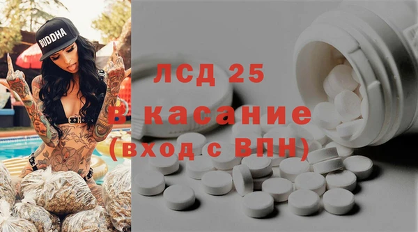 spice Алзамай