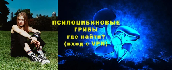 spice Алзамай